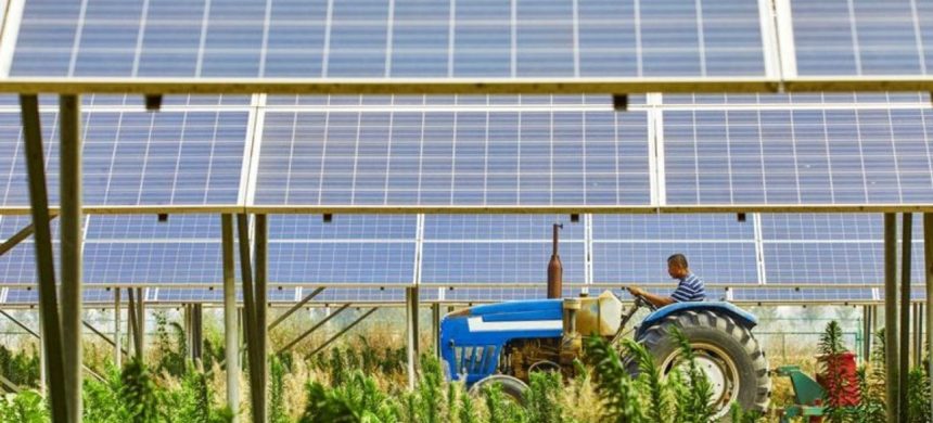 Cos’è l’agrovoltaico