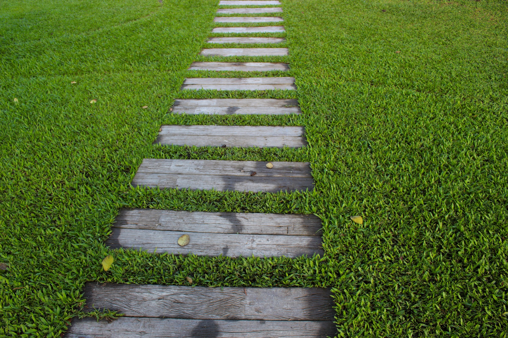 Vialetto del giardino